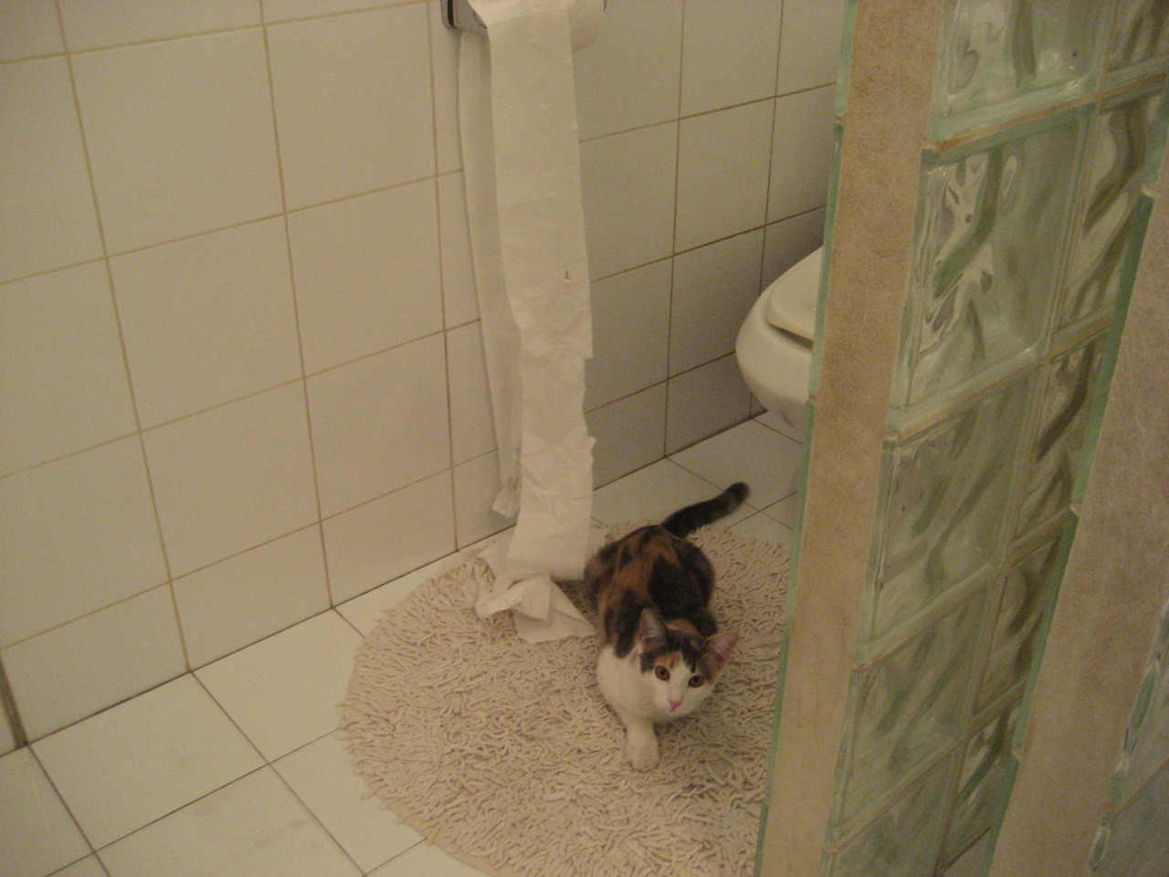 九游电子竞技-【新赛制探索】未来棒球或成为“秒秒秒”的运动，棒球新玩法