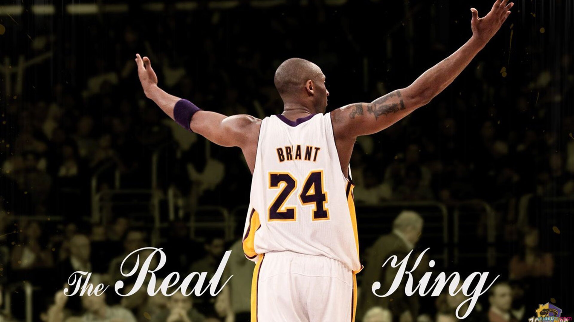 9游电竞资讯-库里支持小球员参赛鼓励敢打敢拼，库里鼓励队友